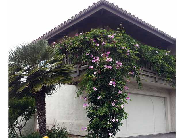 346 Playa Blanca, Encinitas, CA 92024 photo 4