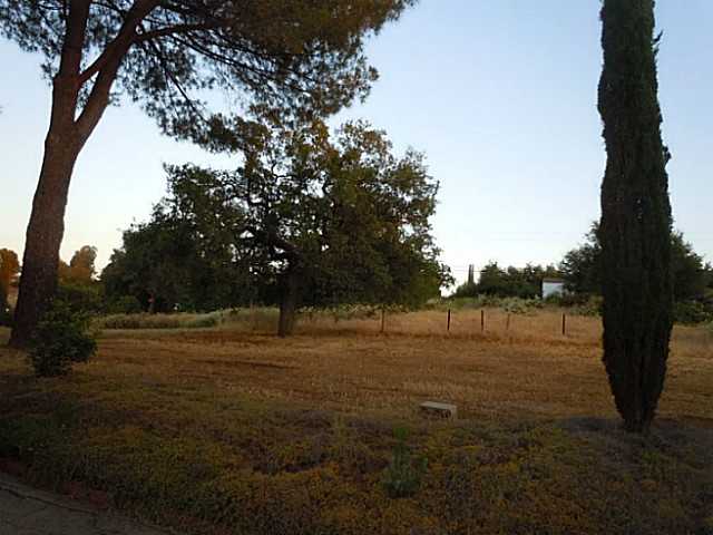 1825 Tavern Rd, Alpine, CA 91901 photo 10