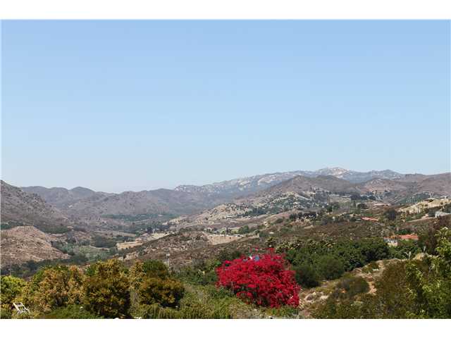 1615 Chandelle Ln, Fallbrook, CA 92028 photo 17