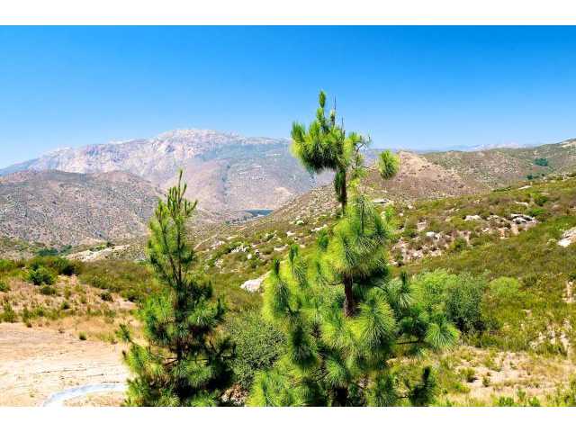 2280 Larkspur Dr, Alpine, CA 91901 photo 25