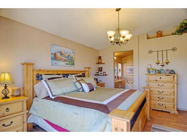 2280 Larkspur Dr, Alpine, CA 91901 photo 13