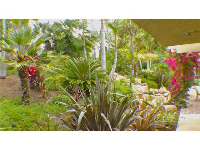 908 Crest Dr, Encinitas, CA 92024 photo 9