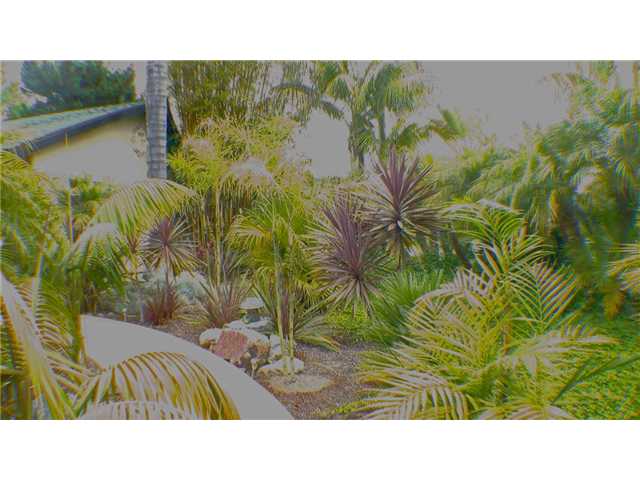 908 Crest Dr, Encinitas, CA 92024 photo 10