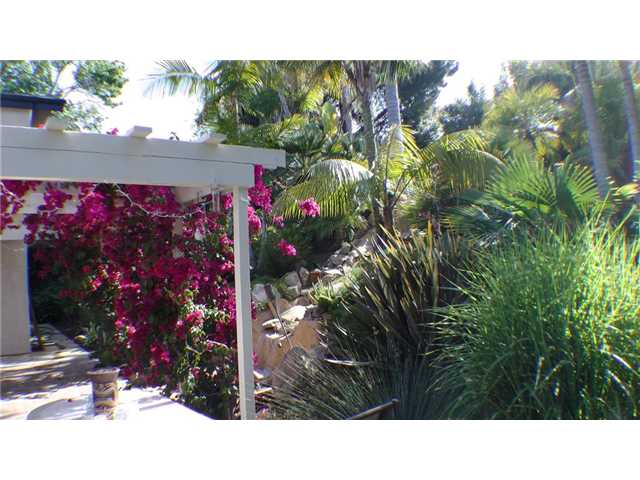 908 Crest Dr, Encinitas, CA 92024 photo 15