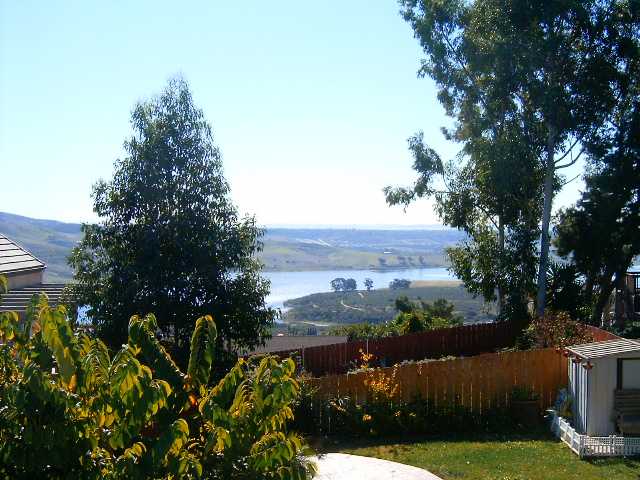 1130 Sangamon Ave, Spring Valley, CA 91977 photo 9