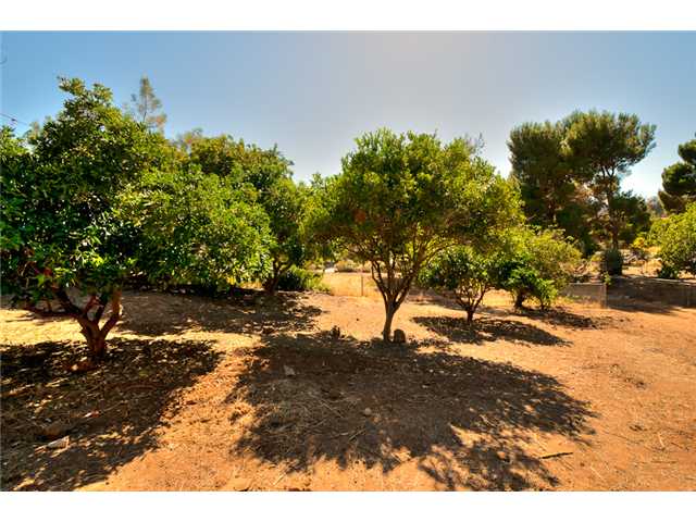 3174 Fair Oaks Dr, Spring Valley, CA 91978 photo 17