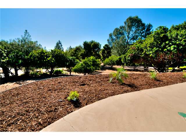 3174 Fair Oaks Dr, Spring Valley, CA 91978 photo 16