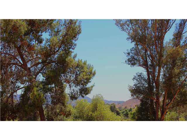 11008 Fillbrook Dr, Lakeside, CA 92040 photo 9