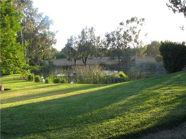3682 Lake Ridge Rd, Fallbrook, CA 92028 photo 15
