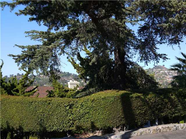 8856 Alpine Ave, La Mesa, CA 91941 photo 25