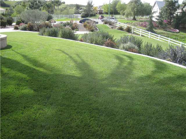 2595 Sweetgrass Ct, Bonsall, CA 92003 photo 5