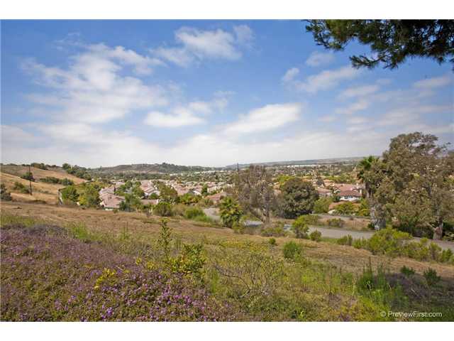 1113 Masterpiece Dr, Oceanside, CA 92057 photo 11