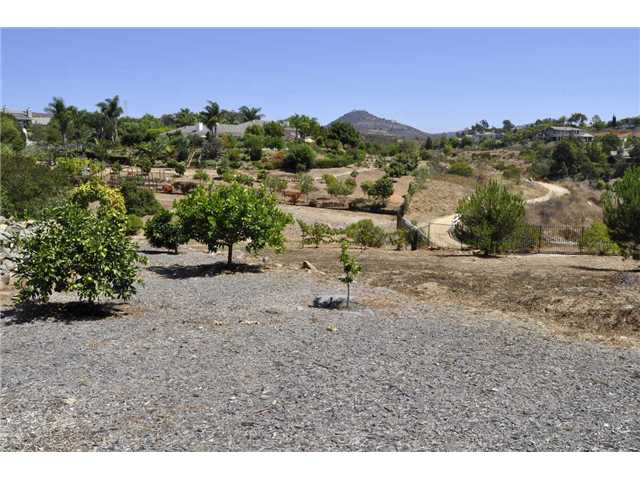 3369 Lone Hill Ln, Encinitas, CA 92024 photo 9