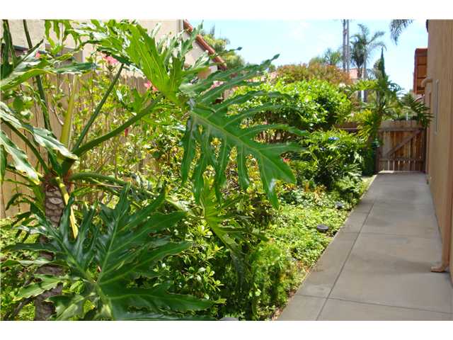3750 Hillview Way, Oceanside, CA 92056 photo 20