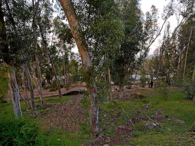 10087 Shadow Rd, La Mesa, CA 91941 photo 17