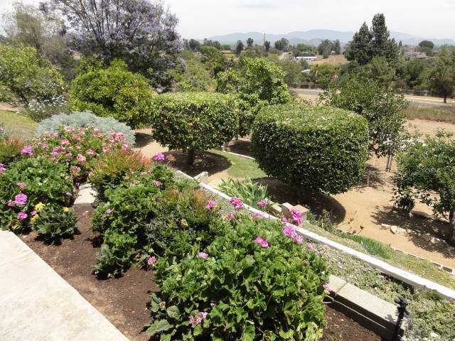950 Ridge Heights Dr, Fallbrook, CA 92028 photo 22