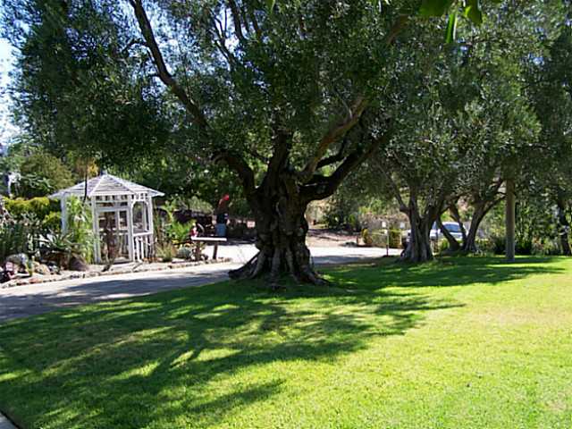 2740 Rainbow Glen Rd, Fallbrook, CA 92028 photo 6