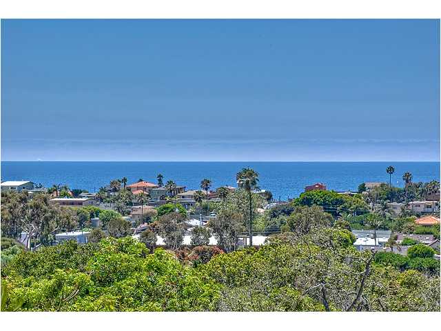 460 Orpheus Ave, Encinitas, CA 92024 photo 3