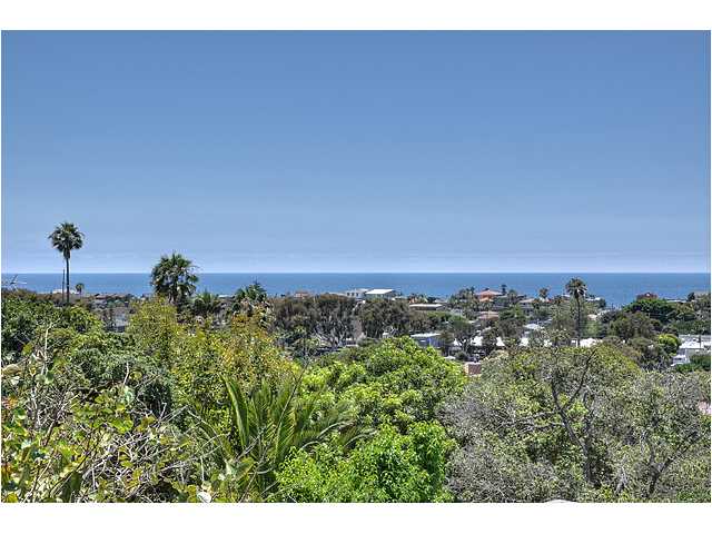 460 Orpheus Ave, Encinitas, CA 92024 photo 22