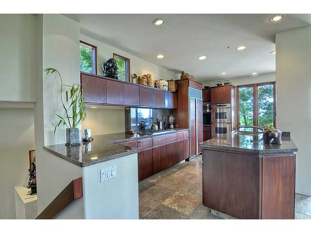 460 Orpheus Ave, Encinitas, CA 92024 photo 5