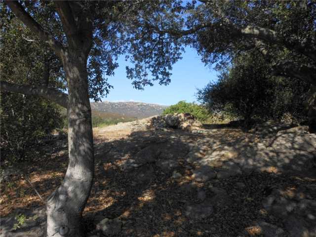 3715 Wisecarver Ln, Jamul, CA 91935 photo 16