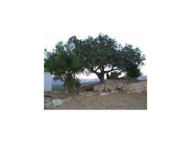 3715 Wisecarver Ln, Jamul, CA 91935 photo 14