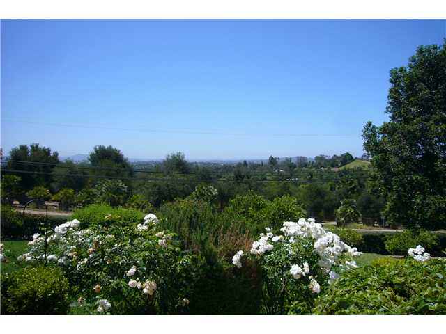 2146 Gum Tree Ln, Fallbrook, CA 92028 photo 10