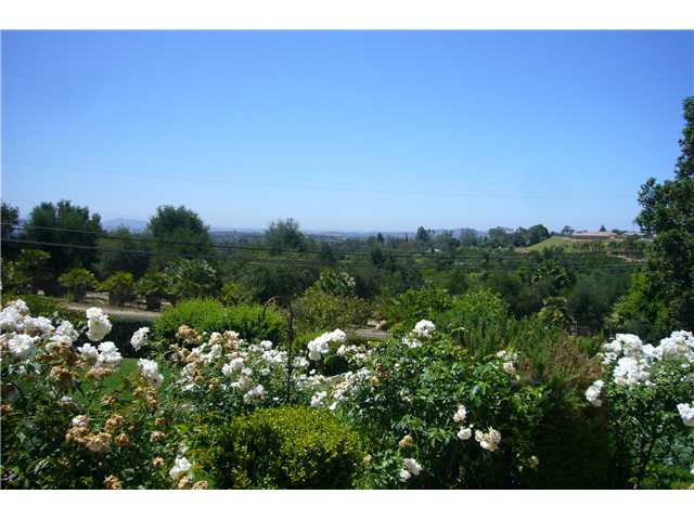 2146 Gum Tree Ln, Fallbrook, CA 92028 photo 23