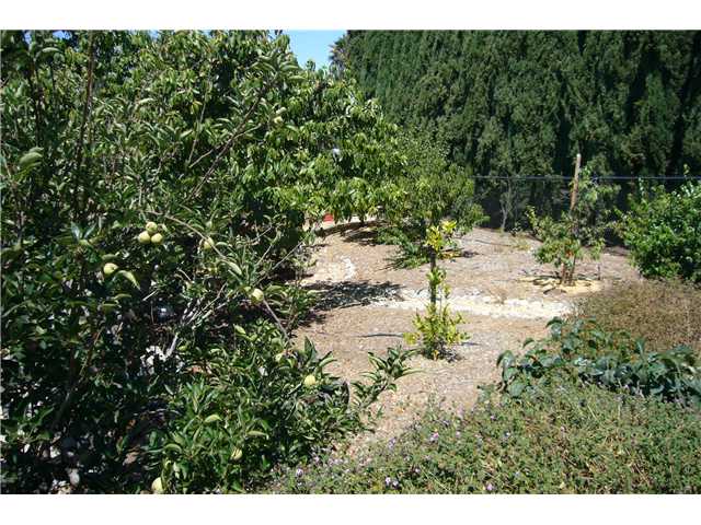2146 Gum Tree Ln, Fallbrook, CA 92028 photo 22