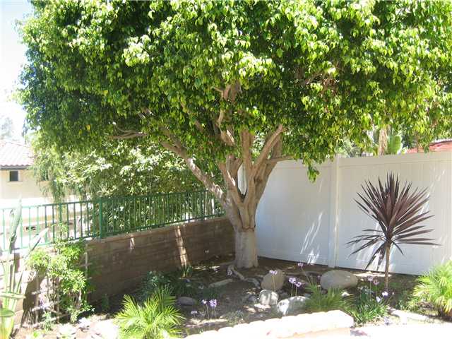 369 Arroyo Vista St, Fallbrook, CA 92028 photo 11
