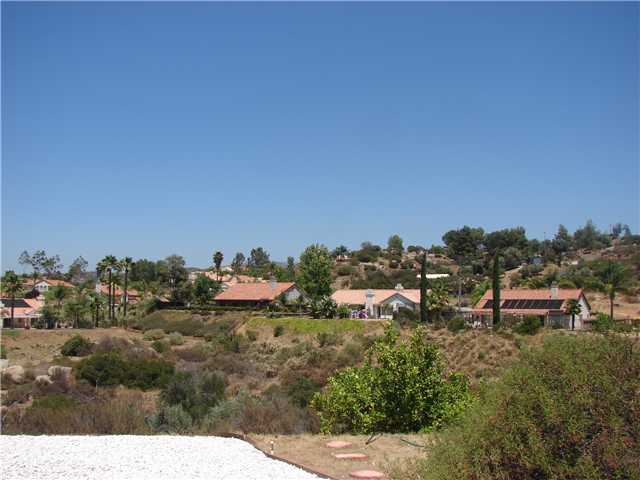 8975 Chestnut Roan Way, Alpine, CA 91901 photo 2
