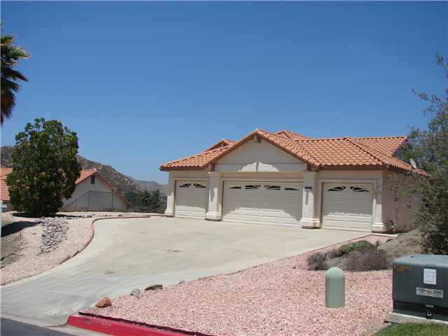 8975 Chestnut Roan Way, Alpine, CA 91901 photo 1