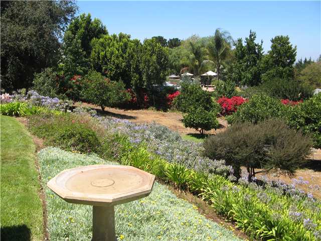 835 Fallen Oak Rd, Fallbrook, CA 92028 photo 5
