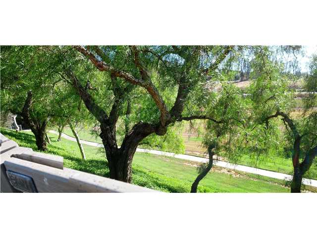 2119 Pepper Tree Pl, Escondido, CA 92026 photo 7
