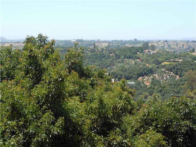 3941 Peony Dr, Fallbrook, CA 92028 photo 24