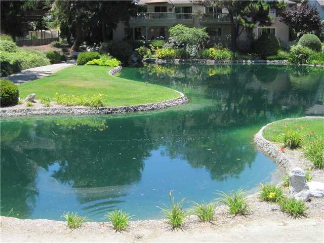3009 Caminito Arenoso, San Diego, CA 92117 photo 21