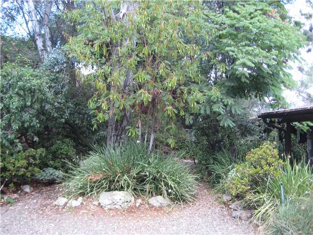 9512 Cypress St, Lakeside, CA 92040 photo 4