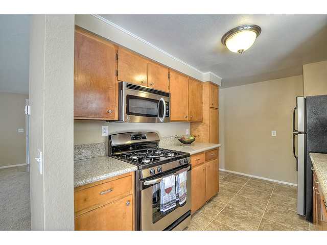 8589 Atlas View Dr, Santee, CA 92071 photo 10