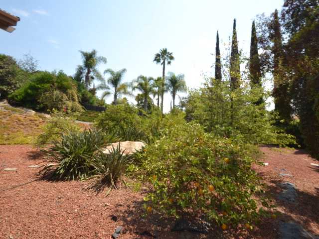 1011 Memory Ln, Escondido, CA 92026 photo 5