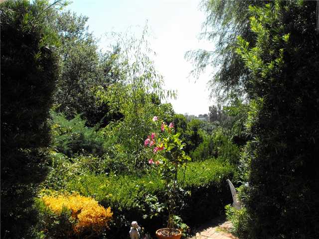 940 Santa Margarita Dr, Fallbrook, CA 92028 photo 13