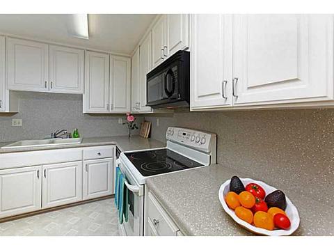 229 23rd St, Del Mar, CA 92014 photo 8