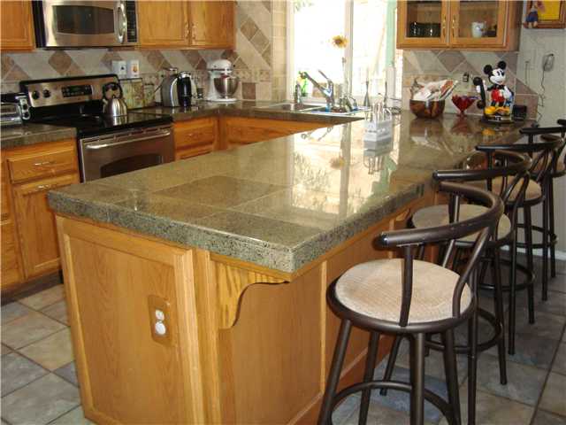 10008 Trenchard St, Santee, CA 92071 photo 3