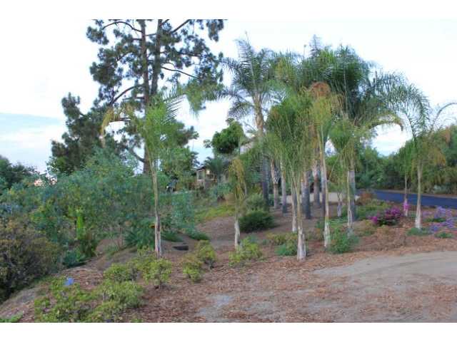 2192 Foothill Dr, Vista, CA 92084 photo 19