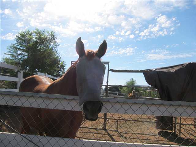 12245 Rockcrest Rd, Lakeside, CA 92040 photo 24