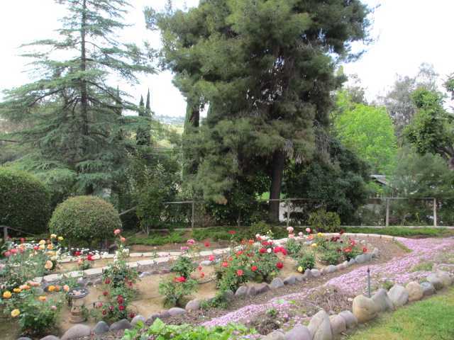 2250 Summit Dr, Escondido, CA 92025 photo 3
