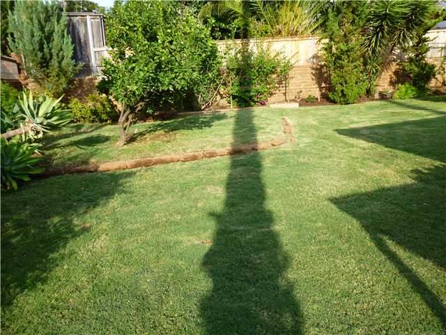 1602 S Redwood St, Escondido, CA 92025 photo 20