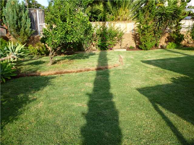 1602 S Redwood St, Escondido, CA 92025 photo 21