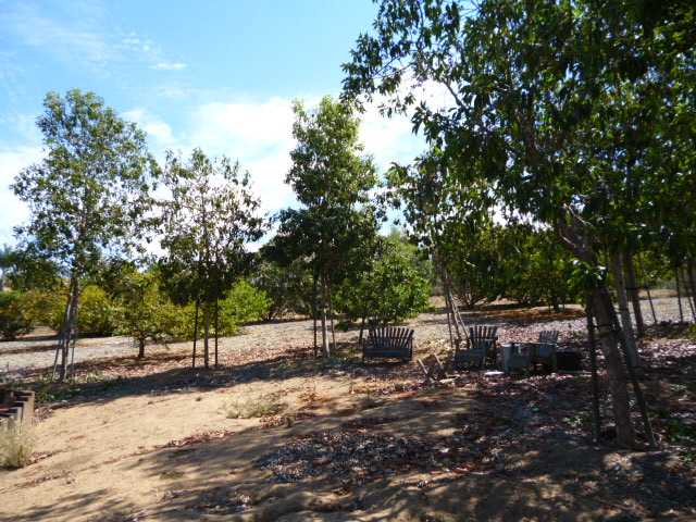 1998 Tracy Ct, Fallbrook, CA 92028 photo 22