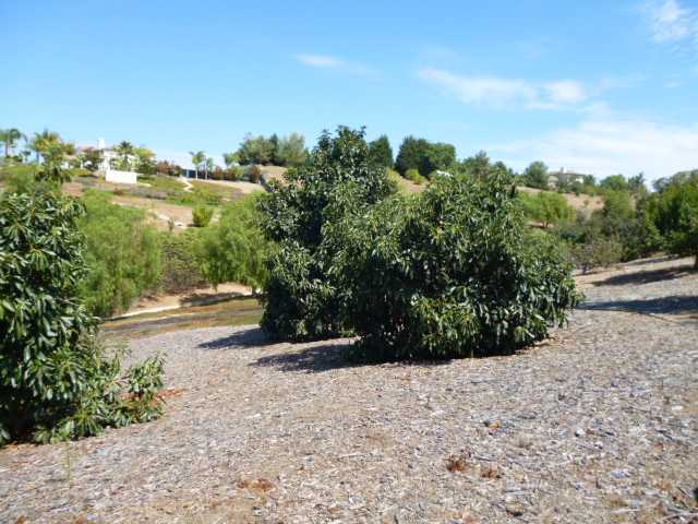 1998 Tracy Ct, Fallbrook, CA 92028 photo 23