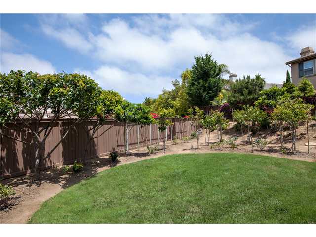1484 Spanish Bay Ct, Encinitas, CA 92024 photo 20